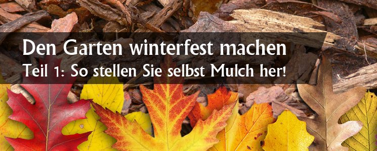 Den Garten winterfest machen Teil 1: So stellen Sie selbst ...